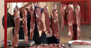 13% инфляции в январе обеспечило мясо — президент Узбекистана поручил расширить кормовую базу