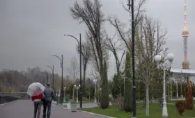 Неделя в Узбекистане будет дождливой, температура воздуха понизится