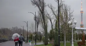 Неделя в Узбекистане будет дождливой, температура воздуха понизится