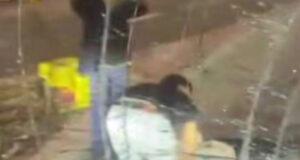 В Ташкенте водитель пассажирского автобуса наехал на велосипедиста