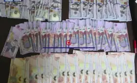 В Ташкенте и Навои пытались сбыть фальшивые доллары и сумы более чем на $30 тысяч