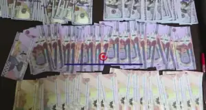 В Ташкенте и Навои пытались сбыть фальшивые доллары и сумы более чем на $30 тысяч