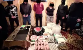 Ещё одна нарколаборатория обнаружена в Ташкенте, изъяты тысячи единиц аптечных наркотиков