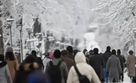 Реальные доходы населения Узбекистана в 2025 году выросли на 9,2% — в основном за счёт денежных переводов