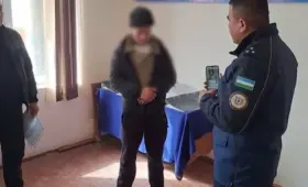 Парень, оторвавший уши щенкам, получил 10 суток ареста