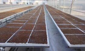 «Банк развития бизнеса» поделился результатами внедрения новой системы поддержки дехканских хозяйств