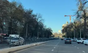 На каких улицах Ташкента ставят заборы и кто исполнитель проекта?