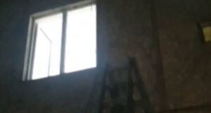 Штурм через окно. В Янгиюле противостояние зоозащитников и отлова дошло до крайностей. Видео