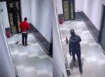 В Ташкентской области установили личность одного из мужчин, причастных к убийству кошек в Бостанлыкском районе