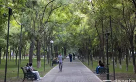 Обеспеченность общественными парками в Ташкенте почти в 10 раз ниже нормы — Кудбиев