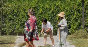 На этой неделе в Узбекистане запланирован хашар