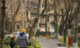 В течение недели ожидается тёплая погода, 19 марта в ряде регионов пройдут дожди