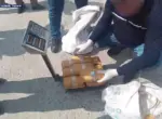 В Самаркандской области изъяли более 38 кг наркотиков