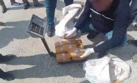 В Самаркандской области изъяли более 38 кг наркотиков