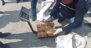 В Самаркандской области изъяли более 38 кг наркотиков