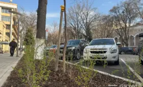 В Ташкенте начато восстановление зелёных зон, занятых под парковку