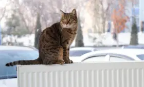 В Ташкенте завершается отопительный сезон