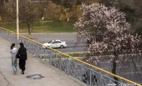 В выходные тёплая погода сохранится, в некоторых регионах ожидаются дожди