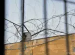 В преддверии Навруза и Рамазан хайита помилованы 392 человека