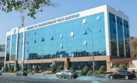 В Узбекистане запускают программу обучения для сотрудников ННО