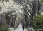 Главное в Узбекистане за неделю 23 февраля — 1 марта