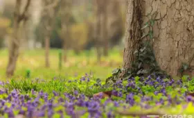 В праздничные выходные по Узбекистану ожидается тёплая погода