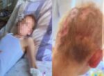 Суд вынес приговор по делу о групповом насилии над школьницей в Ангрене