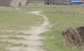 8-летний мальчик скончался после нападения собаки в Ангрене