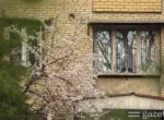 В выходные по Узбекистану ожидается тёплая погода