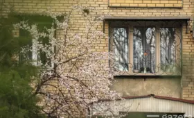 В выходные по Узбекистану ожидается тёплая погода