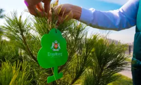 Бренд Engelberg создал новую зелёную зону в Ташкенте