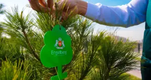 Бренд Engelberg создал новую зелёную зону в Ташкенте