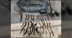 В Сырдарьинской области браконьеры нанесли ущерб природе на полмиллиарда сумов