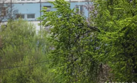 Какой будет погода в Узбекистане в апреле