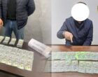 В Узбекистане пресечены крупные мошеннические схемы с оформлением виз в США и Болгарию