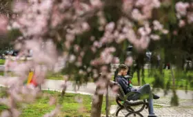 Неделя в Узбекистане будет тёплой, в некоторых регионах ожидаются дожди