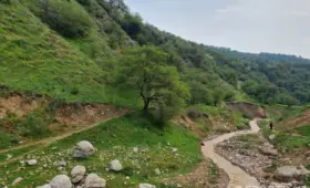 В девяти регионах Узбекистана 31 марта и 2−6 апреля возможны селе-паводковые явления