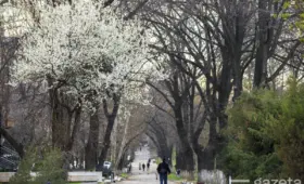 В течение недели по Узбекистану ожидаются дожди