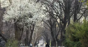 В течение недели по Узбекистану ожидаются дожди