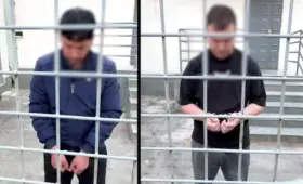 Мужчины, истязавшие кошек в гостинице, получили 10 и 15 суток