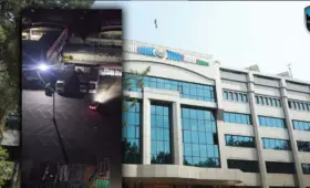 Двое сторожей рынка в Учтепинском районе Ташкента ночью давили автомобилем собак