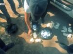 Под Ташкентом ликвидирована лаборатория по производству сильнодействующих препаратов. Видео