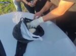 Банковские сотрудники и рецидивист-закладчик. В Ташкентской области изъяли крупную партию «синтетики»