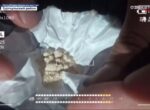 Таможня Узбекистана изъяла из оборота почти восемьсот килограммов наркотиков. Видео