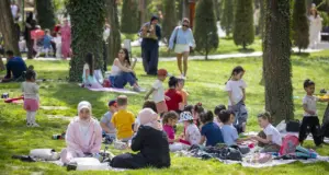 В выходные по Узбекистану ожидается тёплая погода без осадков