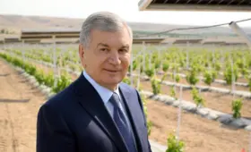 В Ферганской области сократят посевы хлопка и зерна, площади отдадут под сады и рис