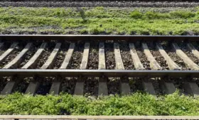 Поезд в Ташкенте наехал на 22-летнего парня, лежавшего на путях