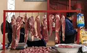 Импортёрам говядины и баранины компенсируют 50% расходов на авиаперевозку