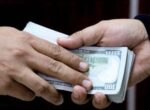 Обещали «решить вопрос» через знакомых. В двух регионах задержаны земельные мошенники