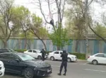 «Залезать на дерево необязательно». Верховный суд — о мужчине, недовольном решением суда